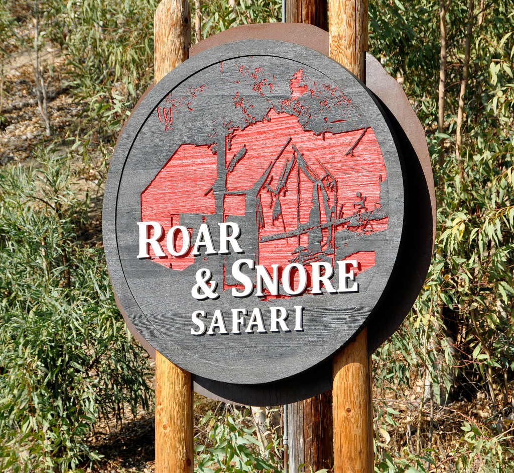 roar and snore safari review