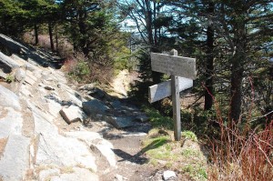 awol on the appalachian trail review