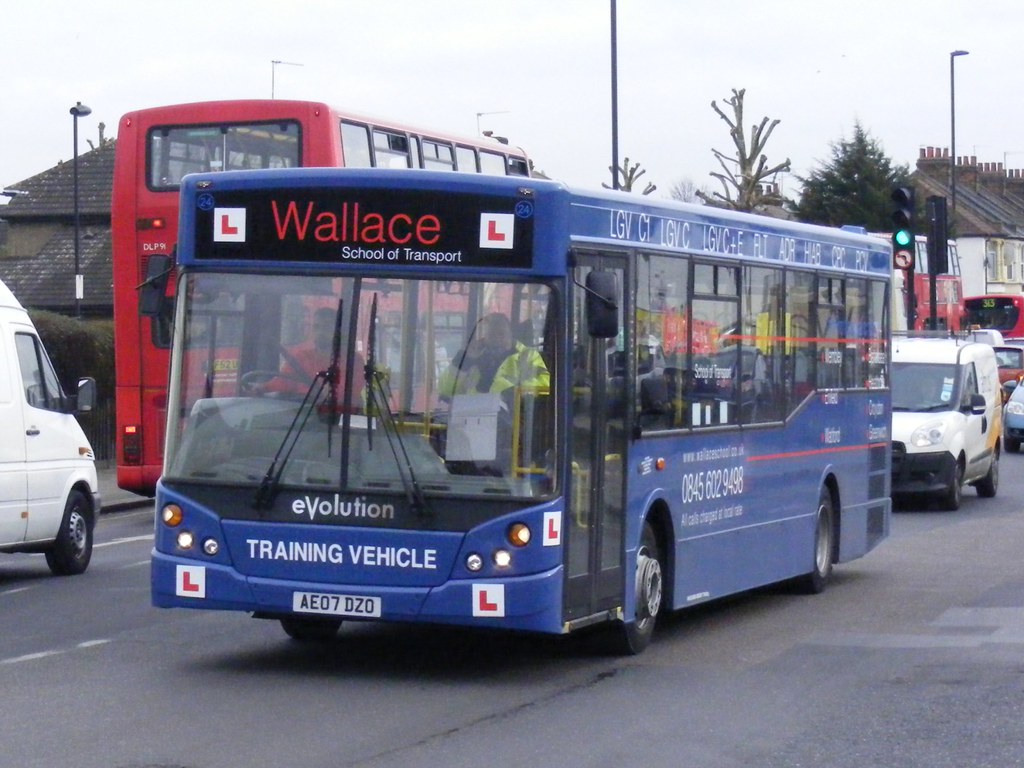 wallace school of transport reviews