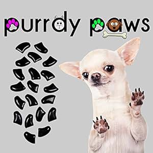 soft paws for dogs reviews